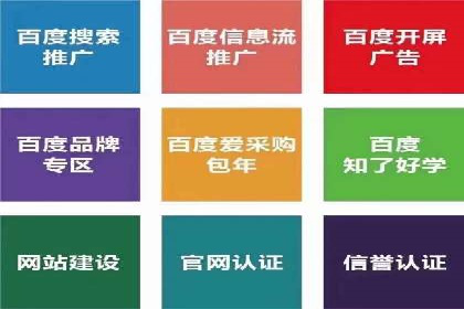 电商平台信息流广告的投放策略与效果评估案例